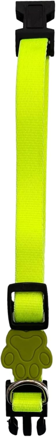 Coleira My Pet Brasil Ajustável Neon para Cachorro Tamanho M