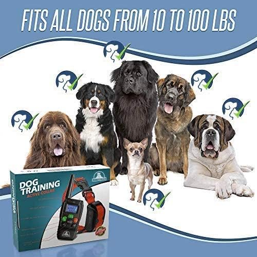 Coleira de Treinamento Pet Union Premium à Prova D'água Vermelha 7 Coleira de Treinamento Pet Union Premium à Prova D'água Vermelha - Imagem 7