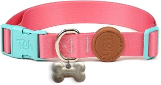 Coleira para Cães Toh Fiji M com Tag de Identificação
