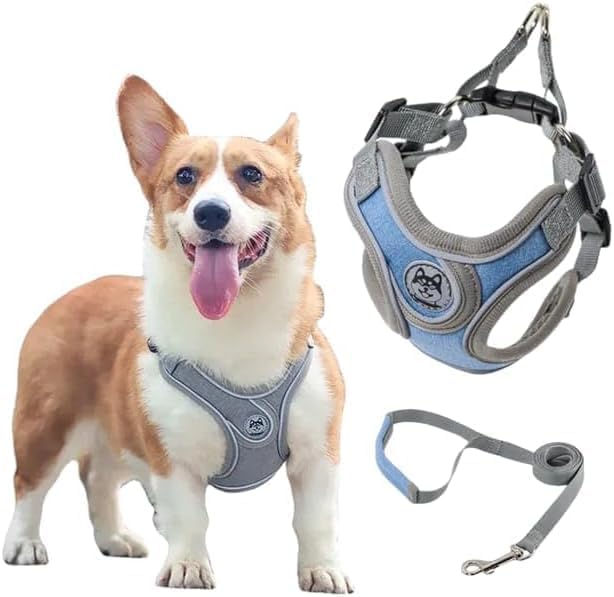 Coleira Peitoral para Cachorro Fluffie 2223 Ajustável com Guia P 1 Coleira Peitoral para Cachorro Fluffie 2223 Ajustável com Guia P