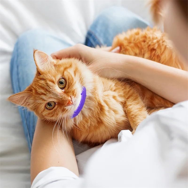 Coleira Calmante Natural Anti Stress para Cães e Gatos 38 cm 2 Coleira Calmante Natural Anti Stress para Cães e Gatos 38 cm - Imagem 2