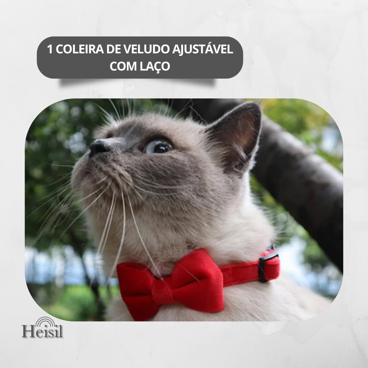 Coleira de Veludo para Cães e Gatos com Gravata e Sininho 2 Coleira de Veludo para Cães e Gatos com Gravata e Sininho - Imagem 2