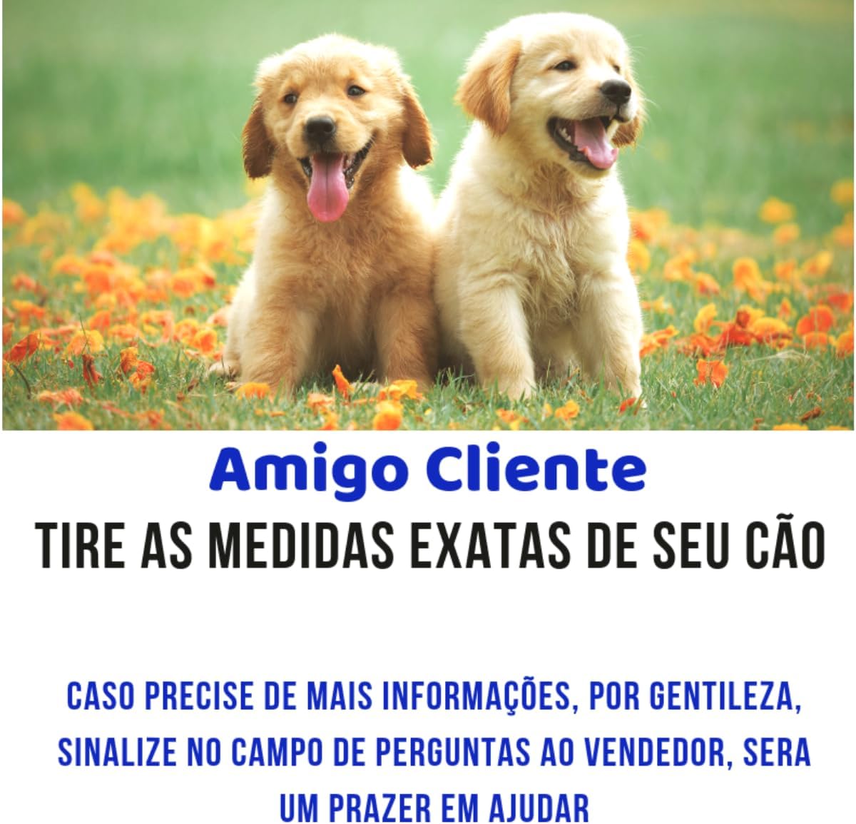 Caixa de Transporte MMA Pet N4 para Cachorro de Médio Porte 5 Caixa de Transporte MMA Pet N4 para Cachorro de Médio Porte - Imagem 5