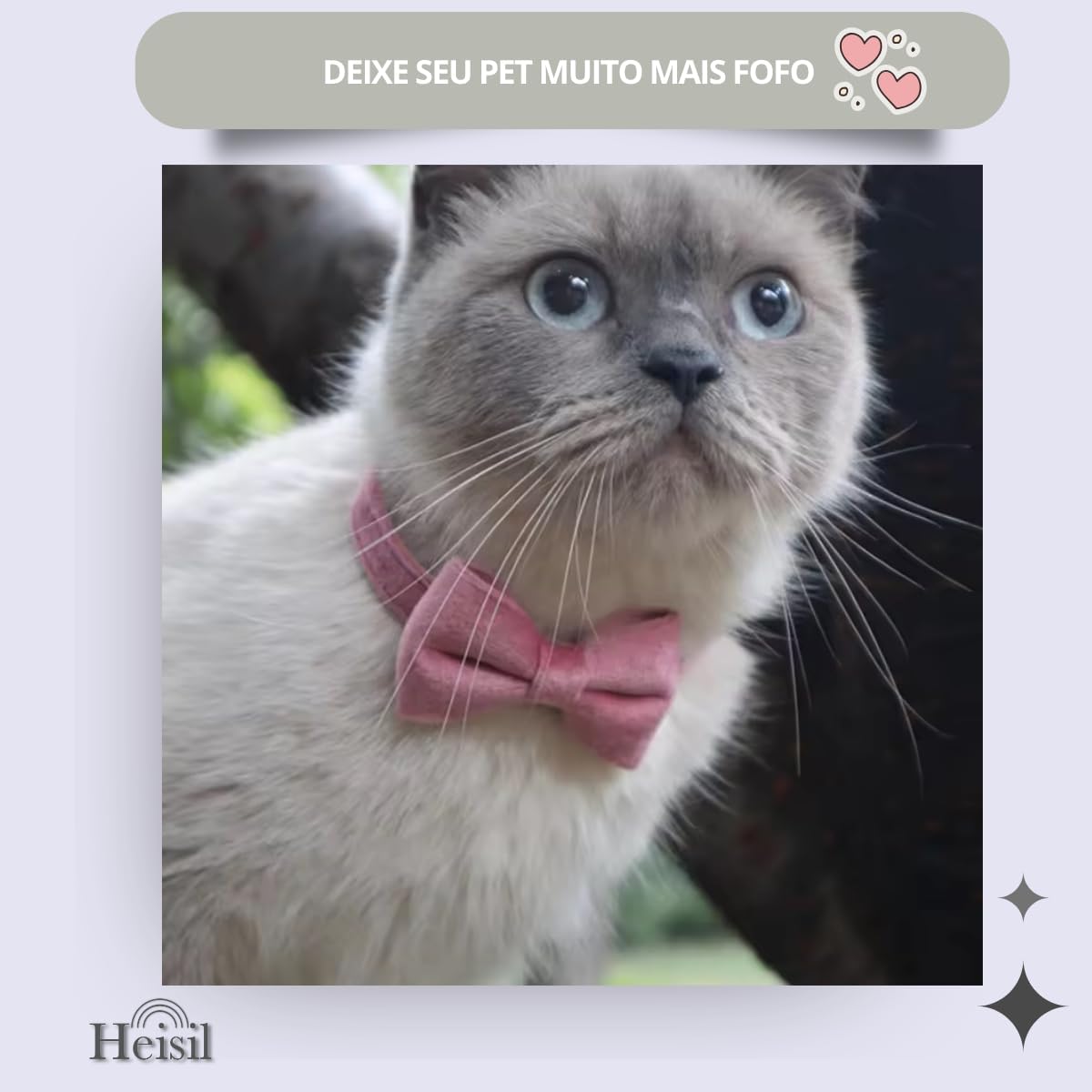 Coleira de Veludo para Cães e Gatos com Gravata e Sininho 7 Coleira de Veludo para Cães e Gatos com Gravata e Sininho - Imagem 7