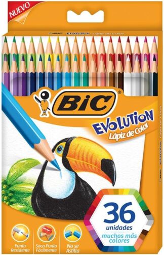 Lápis de Cor BIC Evolution 36 Cores Sextavado 930230 Escolar