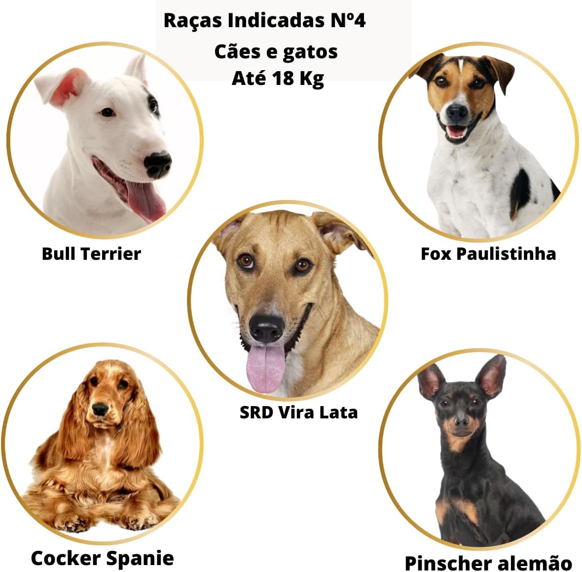 Caixa de Transporte MMA Pet N4 para Cachorro de Médio Porte 3 Caixa de Transporte MMA Pet N4 para Cachorro de Médio Porte - Imagem 3