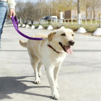 Cinto de Segurança para Cães BlingBoox BBX-DSB-A01 Ajustável Roxo