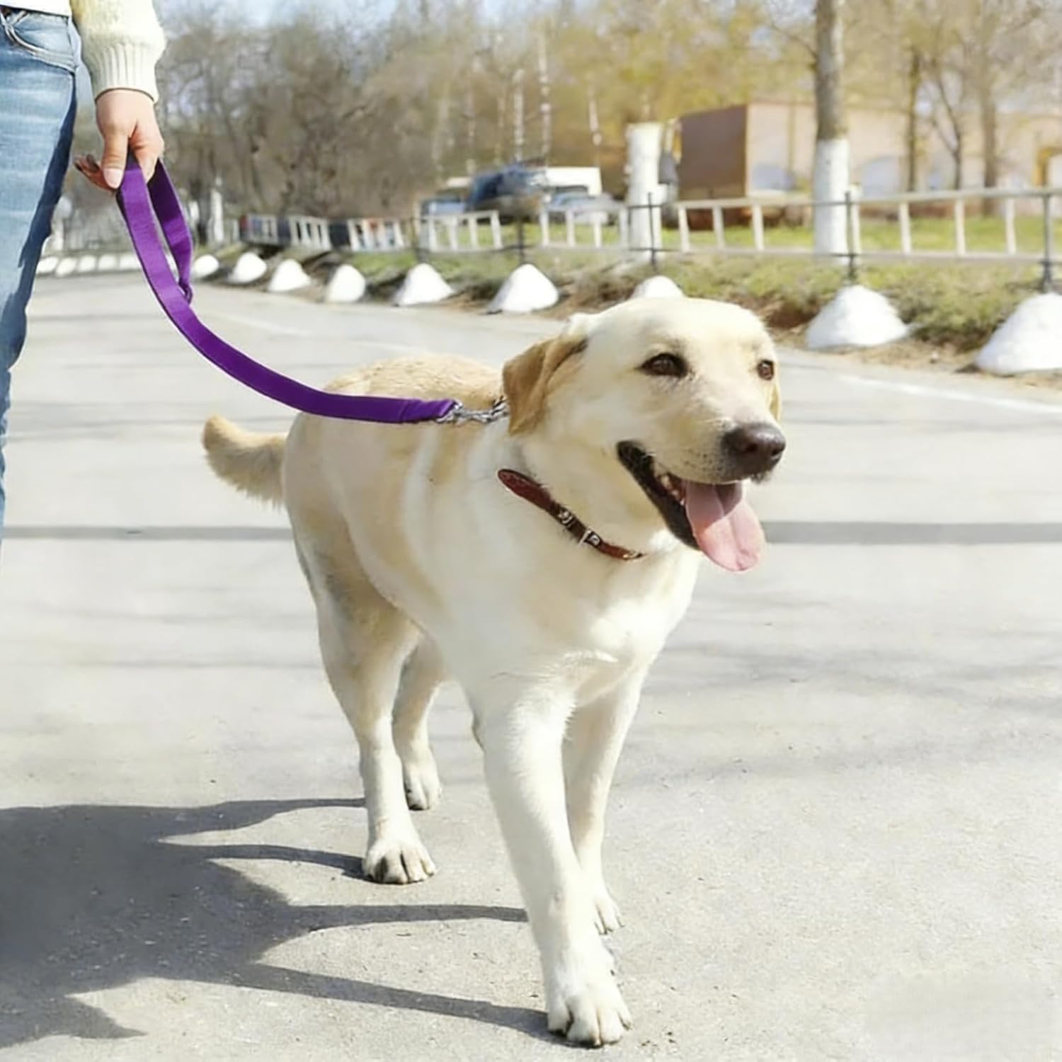 Cinto de Segurança para Cães BlingBoox BBX-DSB-A01 Ajustável Roxo 1 Cinto de Segurança para Cães BlingBoox BBX-DSB-A01 Ajustável Roxo
