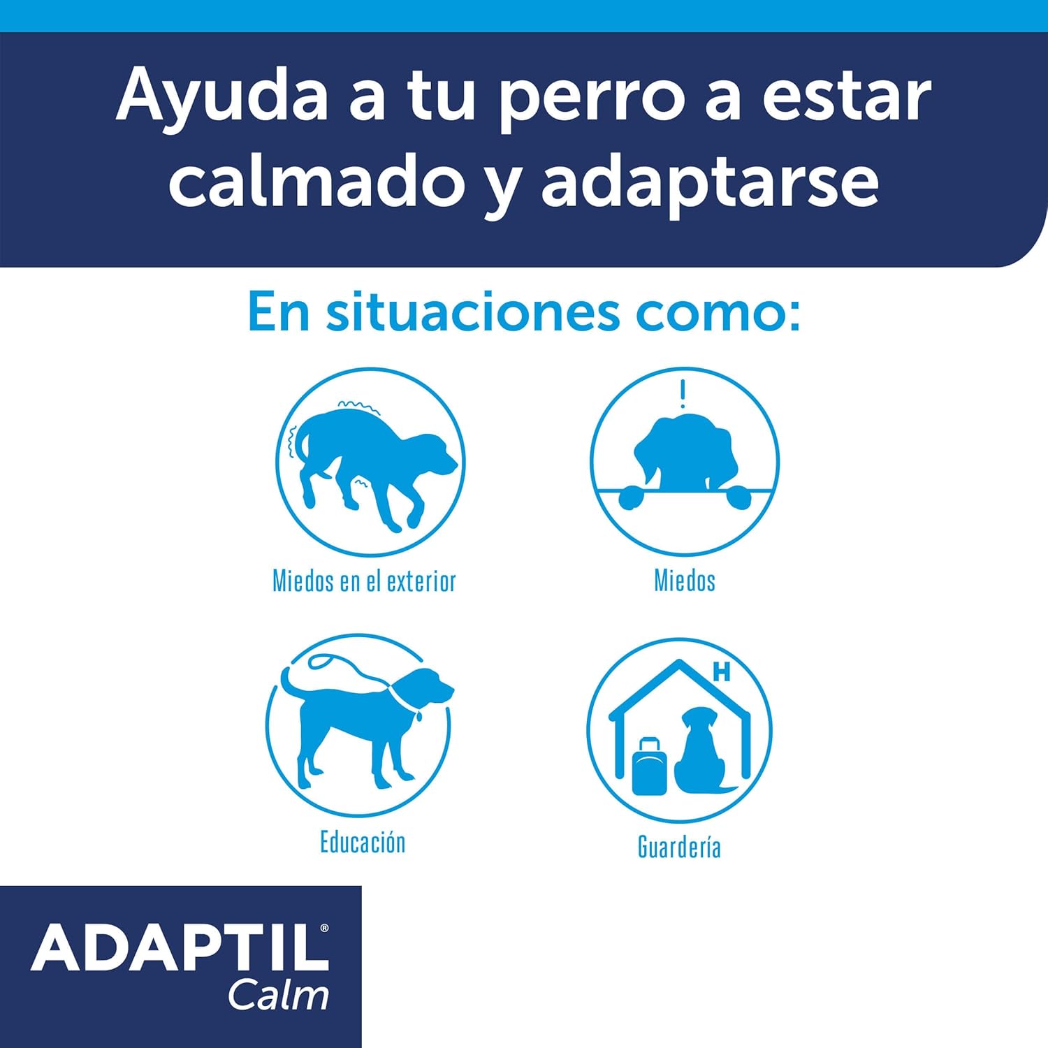 Coleira Anti-Stress Adaptil S para Cães Pequenos e Medos 2 Coleira Anti-Stress Adaptil S para Cães Pequenos e Medos - Imagem 2