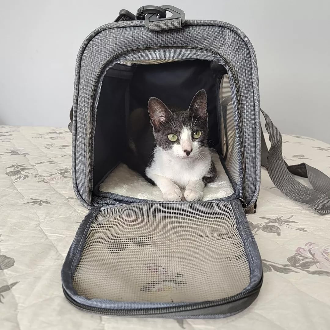 Bolsa de Transporte Pet Azul Premium Respirável para Viagem 2 Bolsa de Transporte Pet Azul Premium Respirável para Viagem - Imagem 2