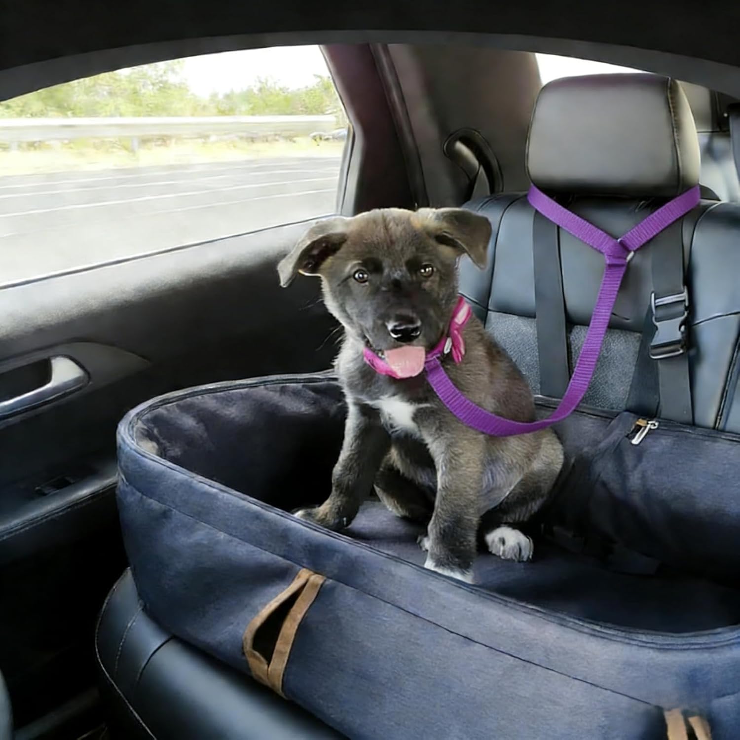 Cinto de Segurança para Cães BlingBoox BBX-DSB-A01 Ajustável Roxo 2 Cinto de Segurança para Cães BlingBoox BBX-DSB-A01 Ajustável Roxo - Imagem 2