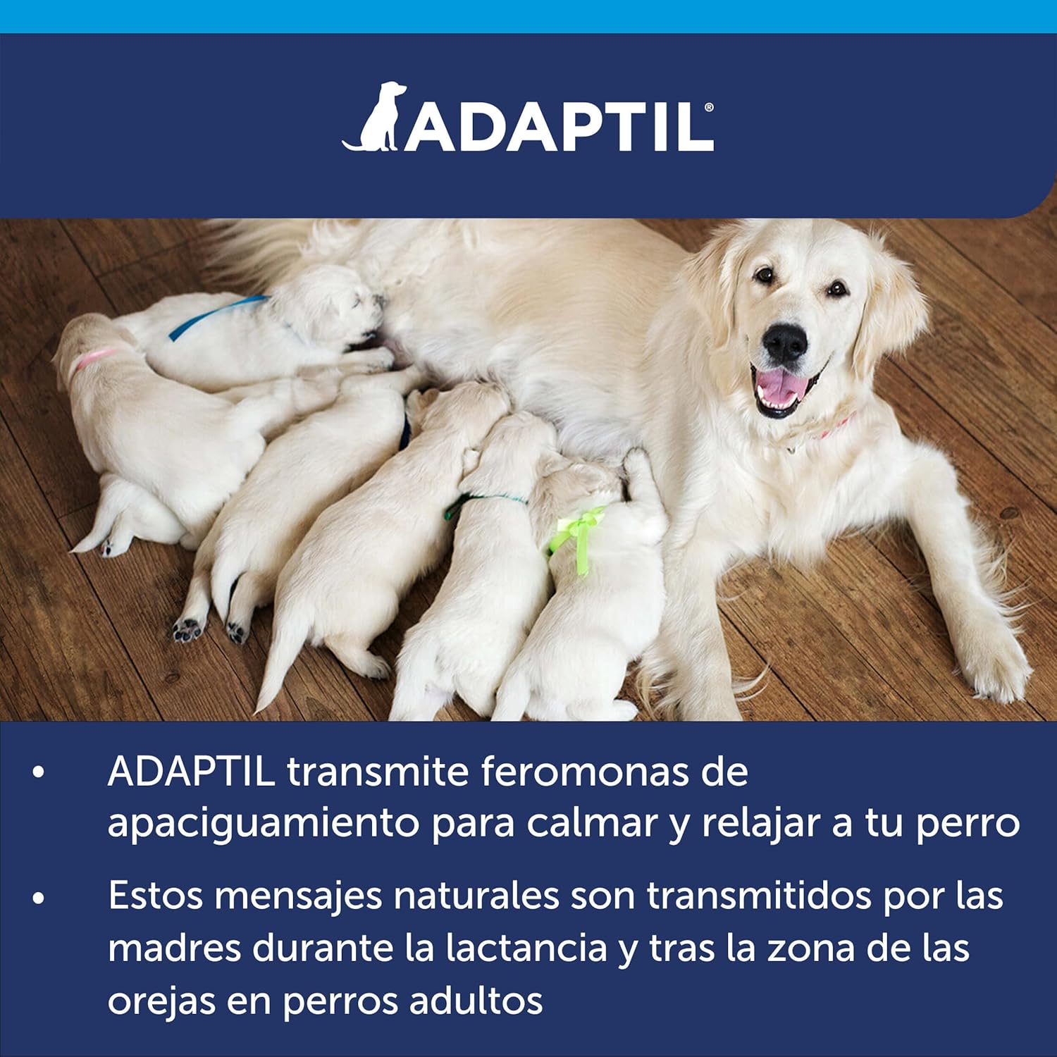 Coleira Anti-Stress Adaptil S para Cães Pequenos e Medos 8 Coleira Anti-Stress Adaptil S para Cães Pequenos e Medos - Imagem 8