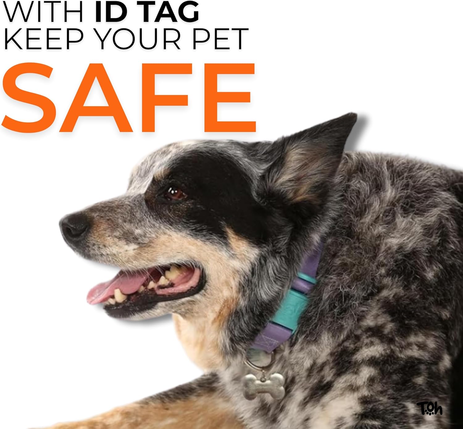 Coleira Avulsa Toh com Tag ID Preto Tamanho G para Cães 7 Coleira Avulsa Toh com Tag ID Preto Tamanho G para Cães - Imagem 7