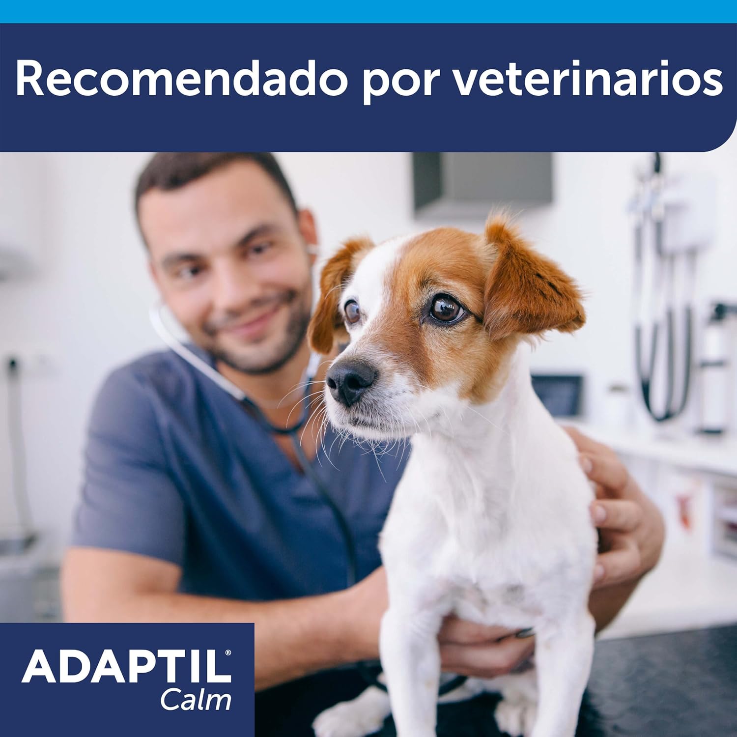 Coleira Anti-Stress Adaptil S para Cães Pequenos e Medos 7 Coleira Anti-Stress Adaptil S para Cães Pequenos e Medos - Imagem 7