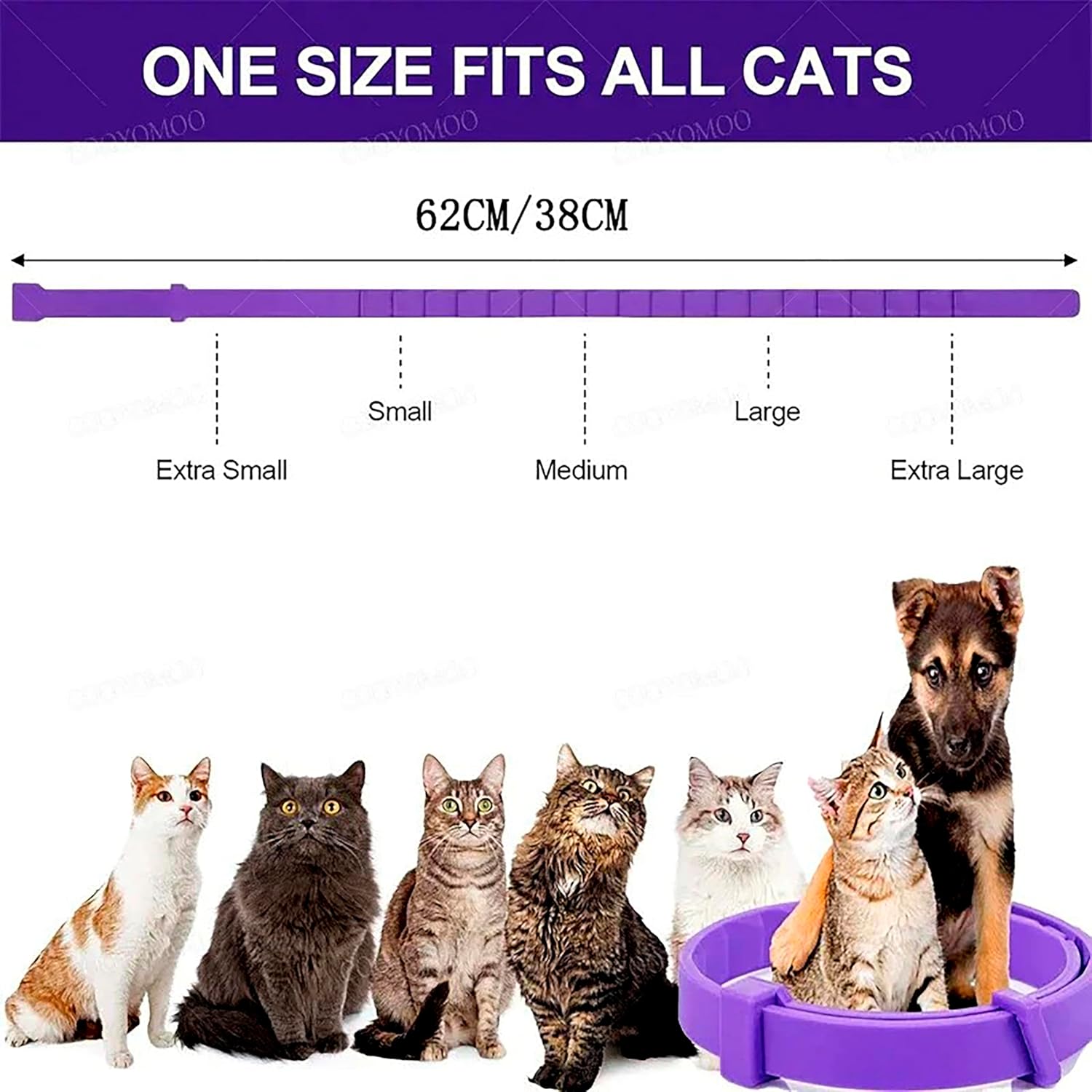 Coleira Calmante Natural Anti Stress para Cães e Gatos 38 cm 6 Coleira Calmante Natural Anti Stress para Cães e Gatos 38 cm - Imagem 6