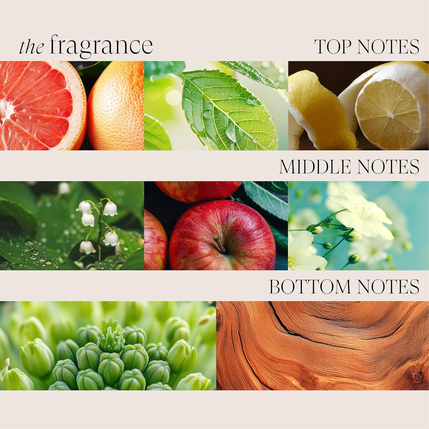 Condicionador Lanza Volume Thickening para Cabelos Finos 250ml 7 Condicionador Lanza Volume Thickening para Cabelos Finos 250ml - Imagem 7