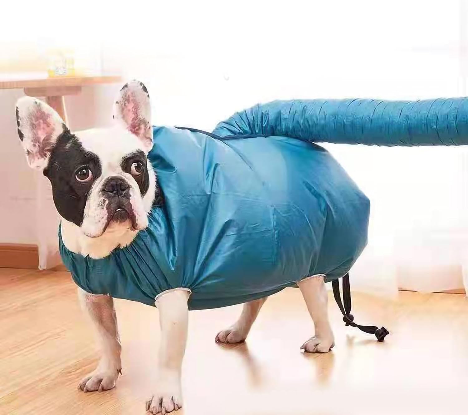 Bolsa de Secagem Sanpyl para Cães Pequenos e Médios Rápida 3 Bolsa de Secagem Sanpyl para Cães Pequenos e Médios Rápida - Imagem 3
