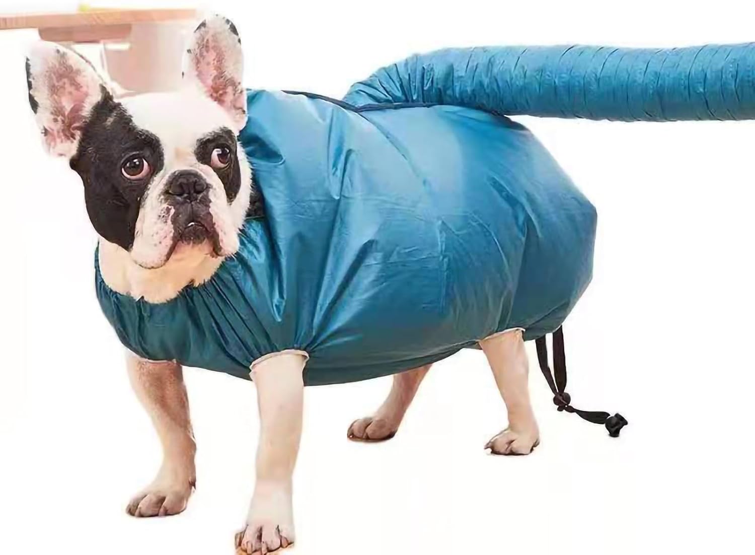 Bolsa de Secagem Sanpyl para Cães Pequenos e Médios Rápida 6 Bolsa de Secagem Sanpyl para Cães Pequenos e Médios Rápida - Imagem 6