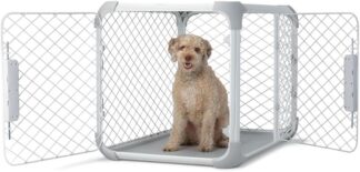 Caixa para Cães Diggs Evolv Intermediária Cinza Modular