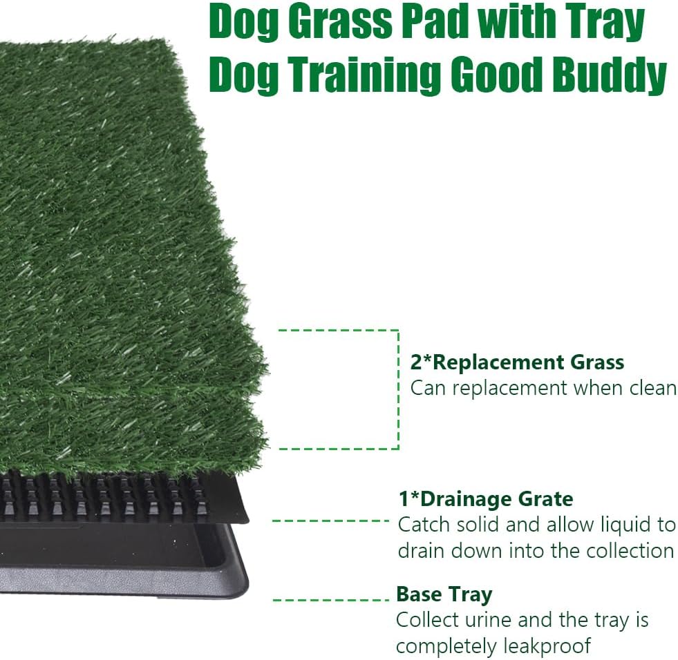 Caixa de Areia LITA para Cães Sanitário Interno de Treinamento 2 Caixa de Areia LITA para Cães Sanitário Interno de Treinamento - Imagem 2