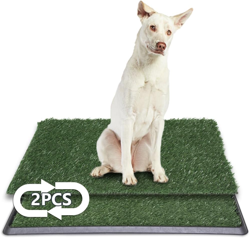 Caixa de Areia LITA para Cães Sanitário Interno de Treinamento 1 Caixa de Areia LITA para Cães Sanitário Interno de Treinamento