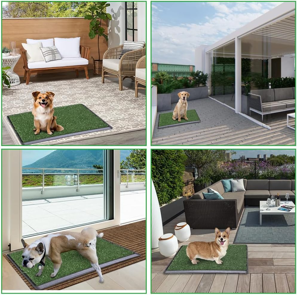 Caixa de Areia LITA para Cães Sanitário Interno de Treinamento 7 Caixa de Areia LITA para Cães Sanitário Interno de Treinamento - Imagem 7