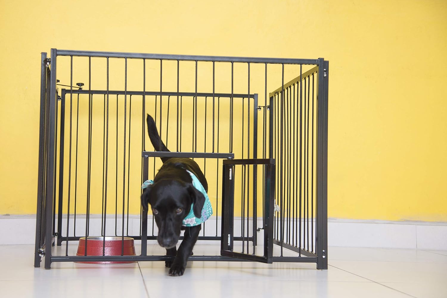 Canil com Portinhola NF Pet Cercado Dobrável para Cães Preto 6 Canil com Portinhola NF Pet Cercado Dobrável para Cães Preto - Imagem 6