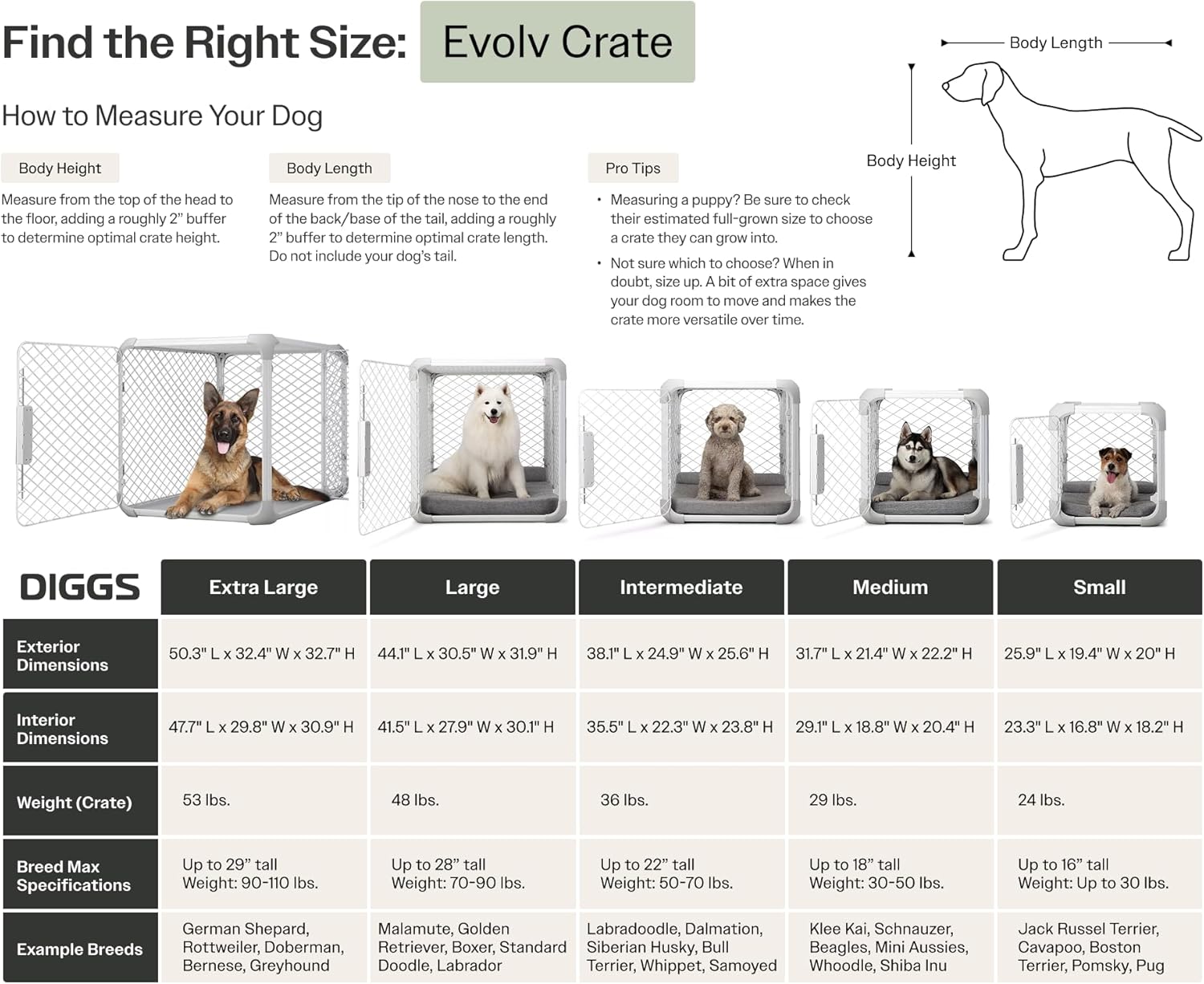Caixa para Cães Diggs Evolv Intermediária Cinza Modular 4 Caixa para Cães Diggs Evolv Intermediária Cinza Modular - Imagem 4